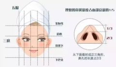 成都奕后整形郑东学做假体隆鼻术后能保持多久